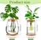 4 Pack Glass Plant Propagation Stations with Wooden Lid & Bamboo Stand – Hydroponic Small Potted Plant Vases for Desk, Home & Office Decor